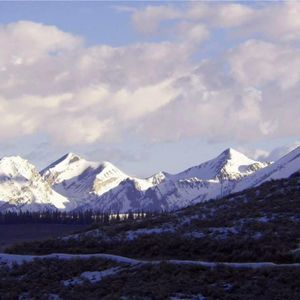 Meet your Posher, Sheri